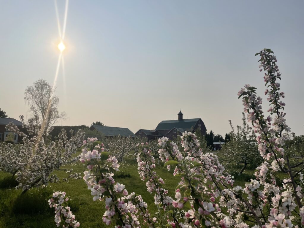 The Eddie Hotel & Farm